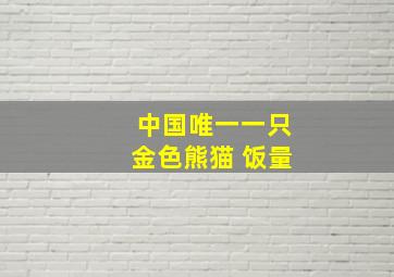 中国唯一一只金色熊猫 饭量